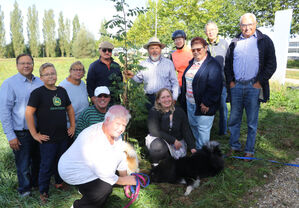 SPD pflanzt Baum des Jahres im Sport- und Freizeitpark